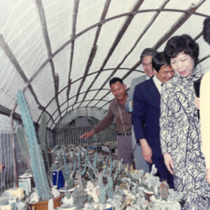 省主席時期-MOFA109179CF-2020-12--PH00009-016