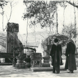 總統夫婦向岳飛墓致敬 杭州-照片冊-MOFA109179CF-2020-12-PH00012-088