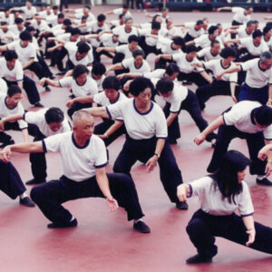 太極拳-駐馬達加斯加代表處國情照片展-MOFA109179CF-2020-12--PH00038-023