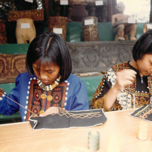 燈片樣片-MOFA109179CF-2020-12-PH00042-022