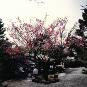 燈片樣片-MOFA109179CF-2020-12-PH00042-048