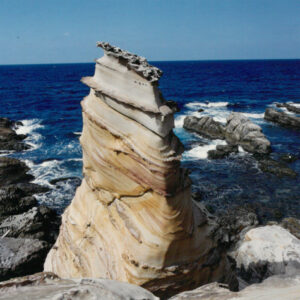 燈片樣片-MOFA109179CF-2020-12-PH00042-064