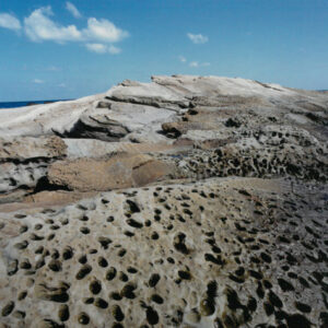 燈片樣片-MOFA109179CF-2020-12-PH00042-066