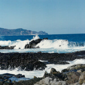 燈片樣片-MOFA109179CF-2020-12-PH00042-078