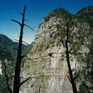 燈片樣片-MOFA109179CF-2020-12-PH00042-080