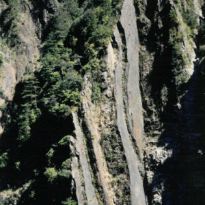 燈片樣片-MOFA109179CF-2020-12-PH00042-081