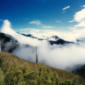 燈片樣片-MOFA109179CF-2020-12-PH00042-083