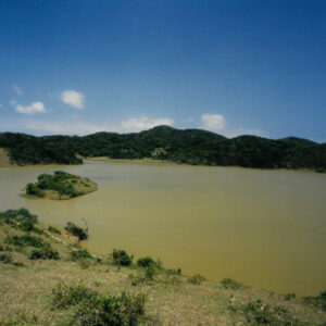 燈片樣片-MOFA109179CF-2020-12-PH00042-087