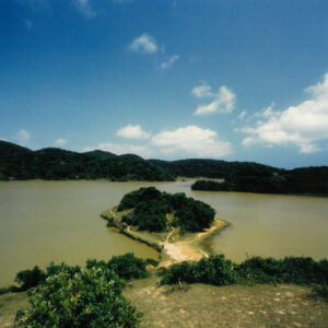 燈片樣片-MOFA109179CF-2020-12-PH00042-088