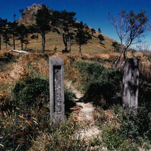 燈片樣片-MOFA109179CF-2020-12-PH00042-091