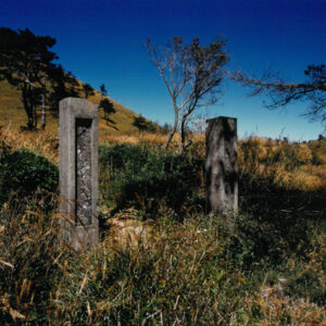 燈片樣片-MOFA109179CF-2020-12-PH00042-092