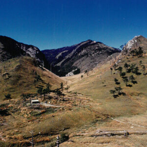 燈片樣片-MOFA109179CF-2020-12-PH00042-094