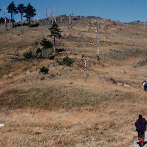 燈片樣片-MOFA109179CF-2020-12-PH00042-097