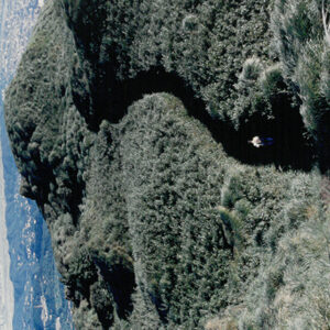 燈片樣片-MOFA109179CF-2020-12-PH00042-101