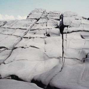 燈片樣片-MOFA109179CF-2020-12-PH00042-104