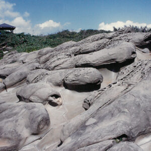 燈片樣片-MOFA109179CF-2020-12-PH00042-105