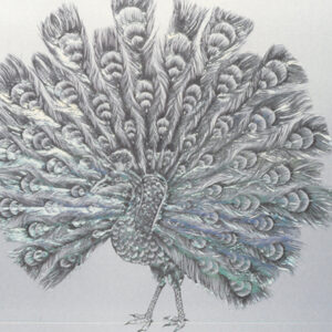 燈片樣片-MOFA109179CF-2020-12-PH00042-135