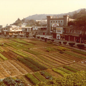 馬祖菜圃 Vegetable gardens developed in atsu