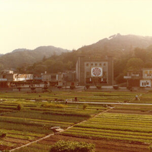 馬祖菜圃 Vegetable gardens developed in atsu