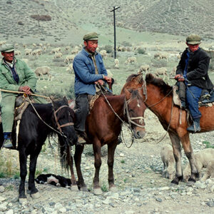 新疆的牧羊人(民國73年攝)-兩岸交流-MOFA109179CF-2020-12-PH00045-003