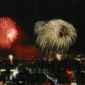 燈片樣片-MOFA109179CF-2020-12-PH00046-136