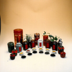 燈片樣片-MOFA109179CF-2020-12-PH00050-101