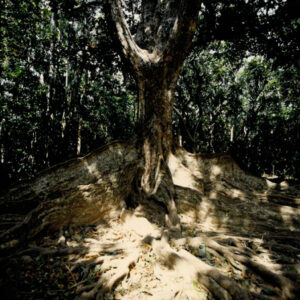 燈片樣片-MOFA109179CF-2020-12-PH00050-113