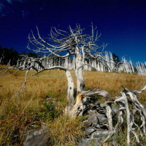 燈片樣片-MOFA109179CF-2020-12-PH00050-116