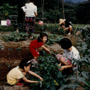 燈片樣片-MOFA109179CF-2020-12-PH00050-135