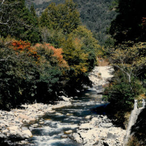 燈片樣片-MOFA109179CF-2020-12-PH00050-141