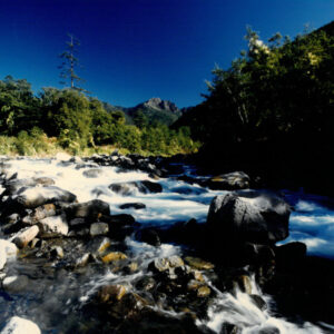 燈片樣片-MOFA109179CF-2020-12-PH00050-142