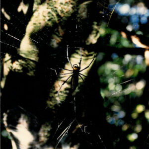 燈片樣片-MOFA109179CF-2020-12-PH00050-144