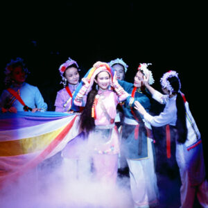 大陸雲南省歌舞團演出-國劇-MOFA109179CF-2020-12--SL00006-102