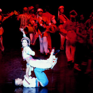 大陸雲南省歌舞團演出-國劇-MOFA109179CF-2020-12--SL00006-103