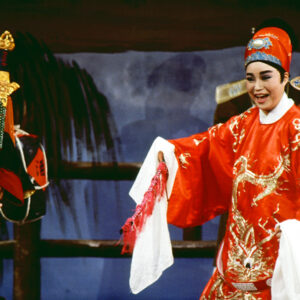 歌仔戲「殺豬狀元」-MOFA109179CF-2020-12--SL00009-047