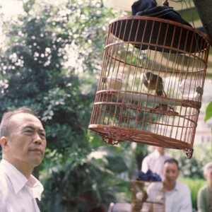 養老院-MOFA109179CF-2020-12-SL00011-098