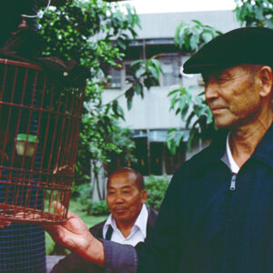 養老院-MOFA109179CF-2020-12-SL00011-099