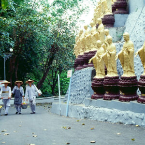 浴佛節-MOFA109179CF-2020-12-SL00037-037