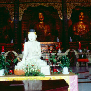 浴佛節-MOFA109179CF-2020-12-SL00037-077