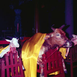 祭孔-MOFA109179CF-2020-12-SL00038-028