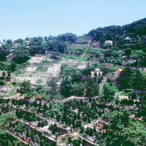 墓園-MOFA109179CF-2020-12-SL00039-027