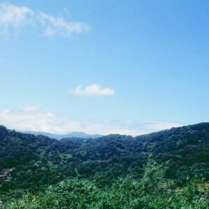 墓園-MOFA109179CF-2020-12-SL00039-029