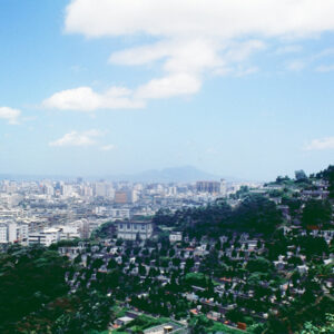 墓園-MOFA109179CF-2020-12-SL00039-030