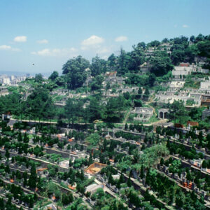 墓園-MOFA109179CF-2020-12-SL00039-031