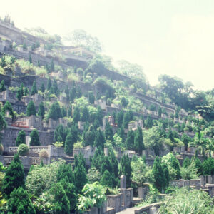 墓園-MOFA109179CF-2020-12-SL00039-033