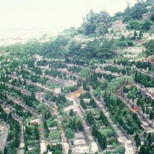 墓園-MOFA109179CF-2020-12-SL00039-034