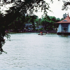 台中中正公園-MOFA109179CF-2020-12-SL00040-080