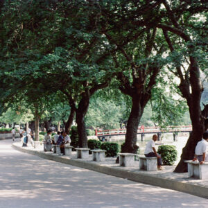 台中中正公園-MOFA109179CF-2020-12-SL00040-086