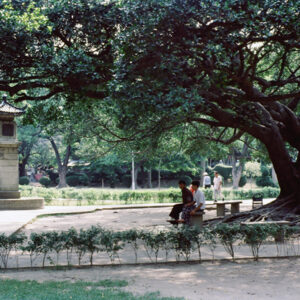 台中中正公園-MOFA109179CF-2020-12-SL00040-087