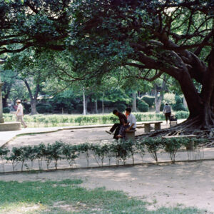 台中中正公園-MOFA109179CF-2020-12-SL00040-088